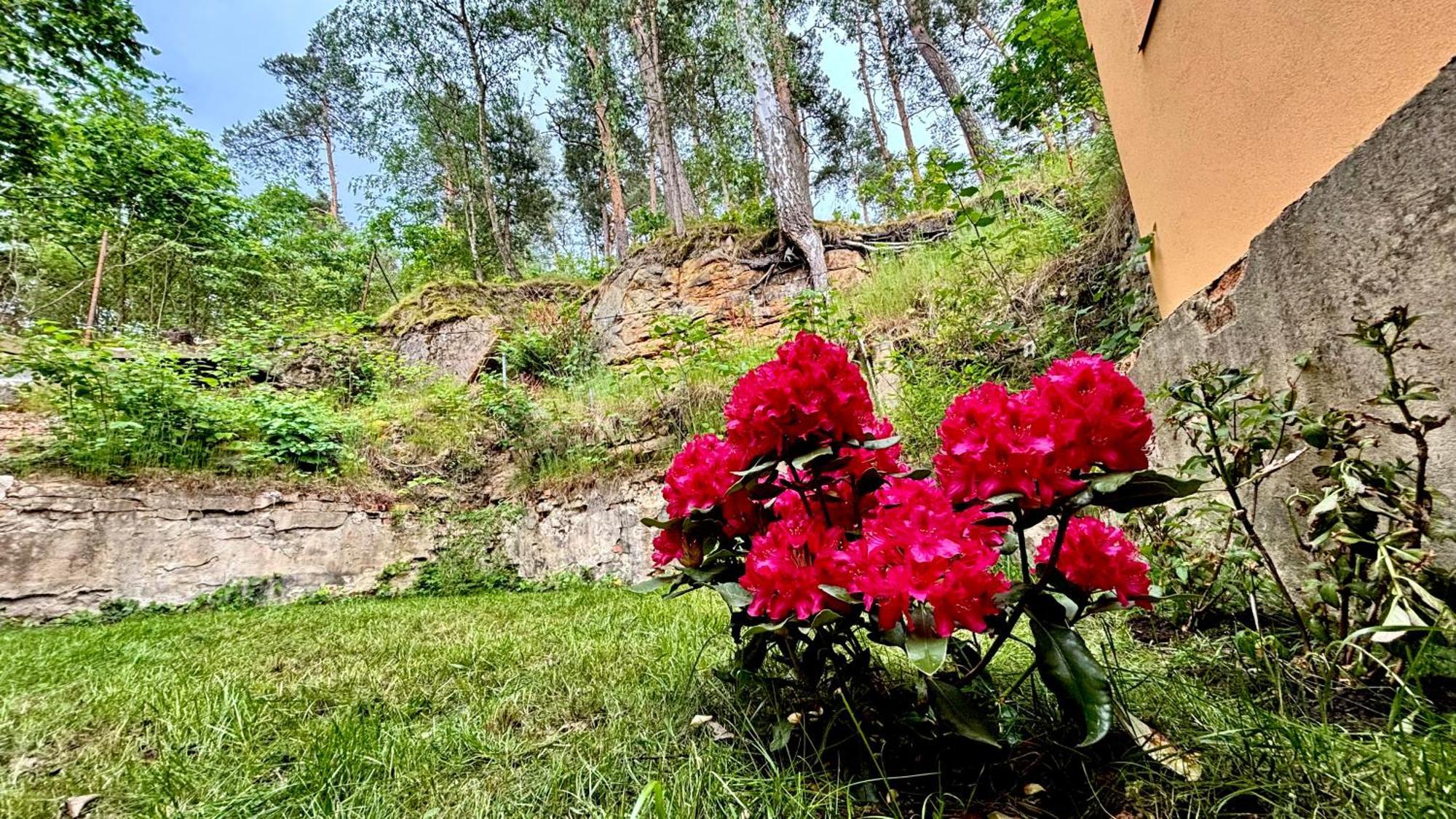 Remote Work Friendly Zahradni Apartman U Jezera Stare Splavy Exterior photo